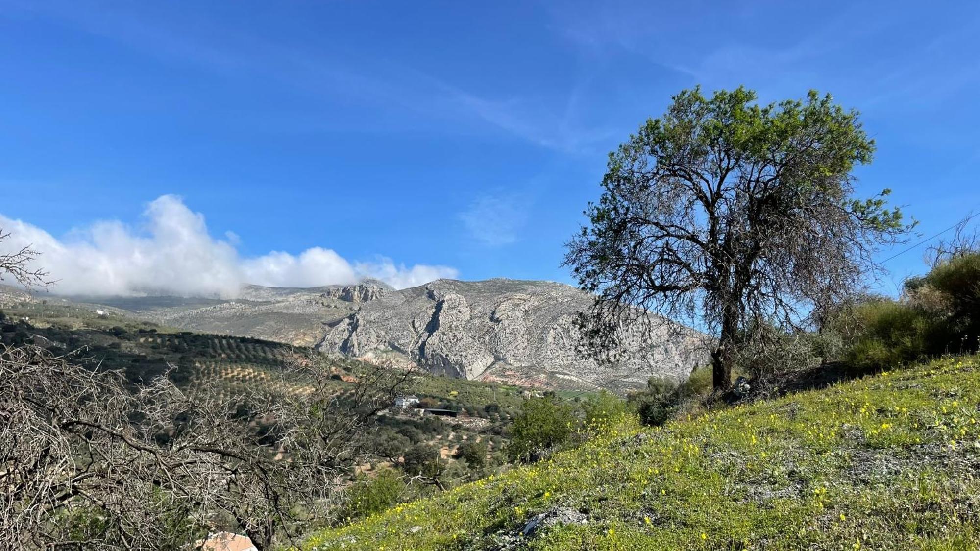 Valle