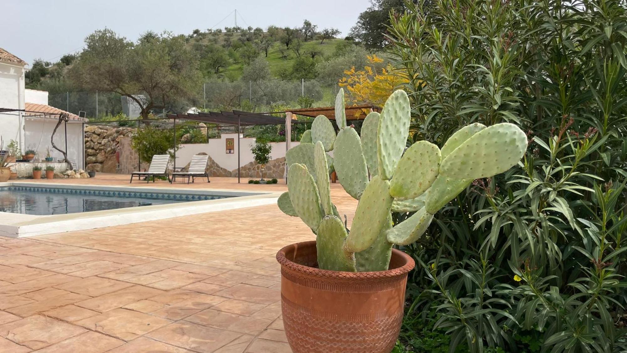 Valle Bed and breakfast Álora