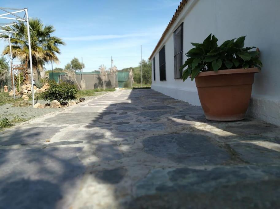 Chalet En Montellano