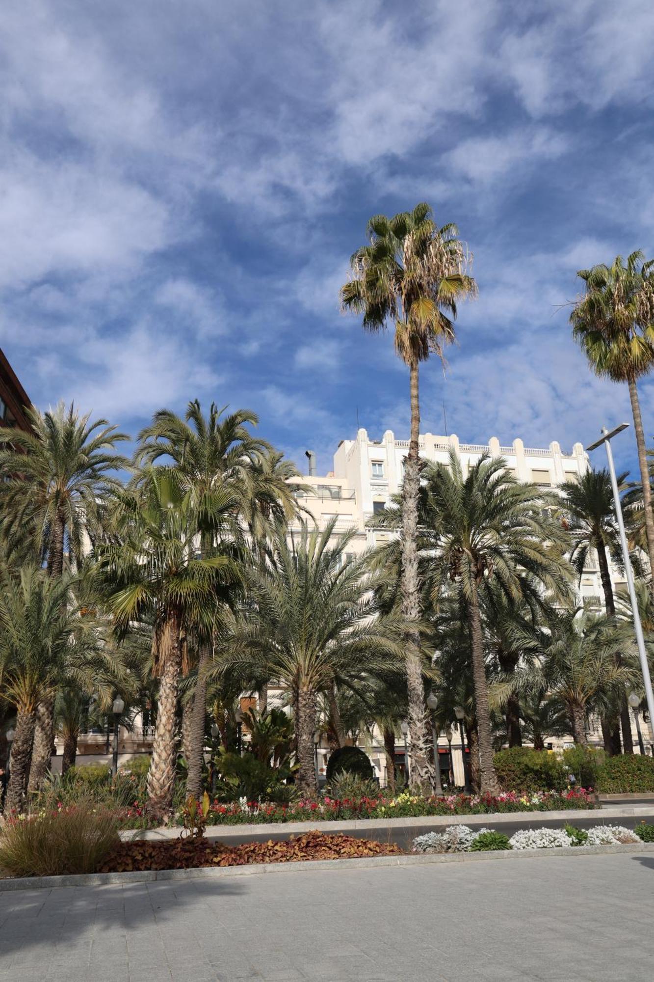 Homestay Alicantan Vital Experience Alicante