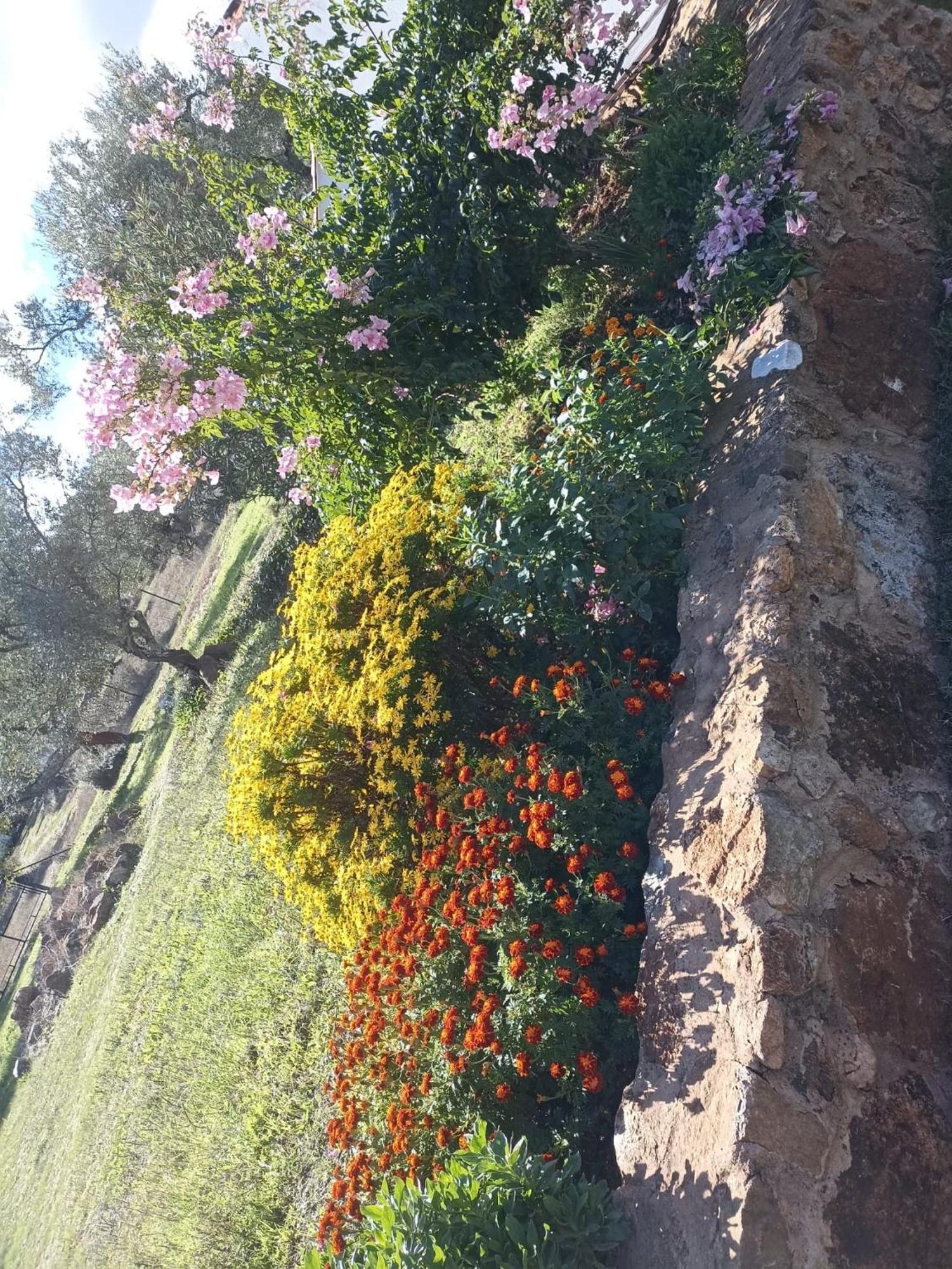 Сasa de vacaciones La Portilla *
