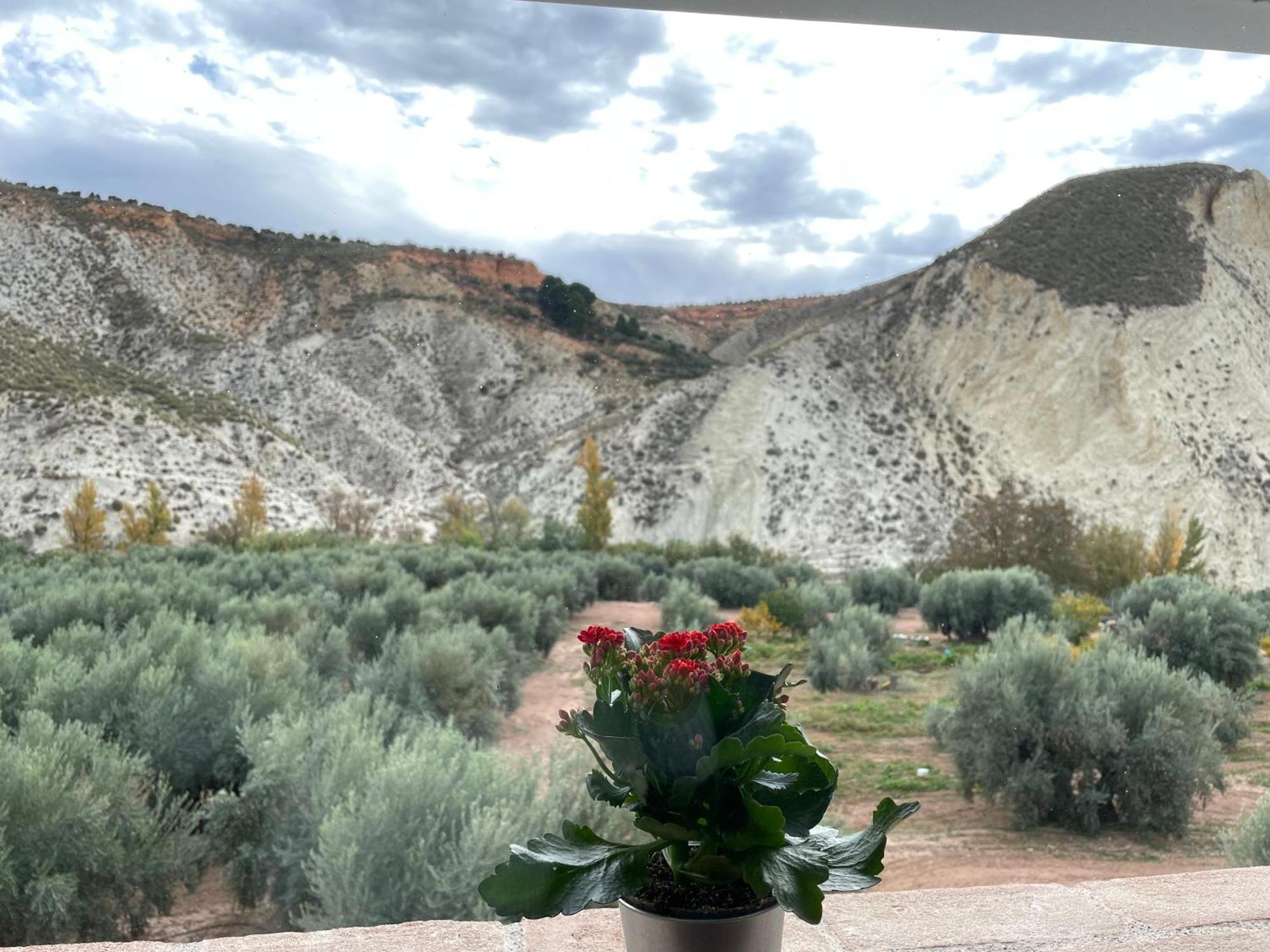 Сasa de vacaciones La Rosita Rural *