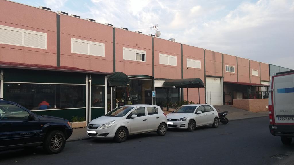 León