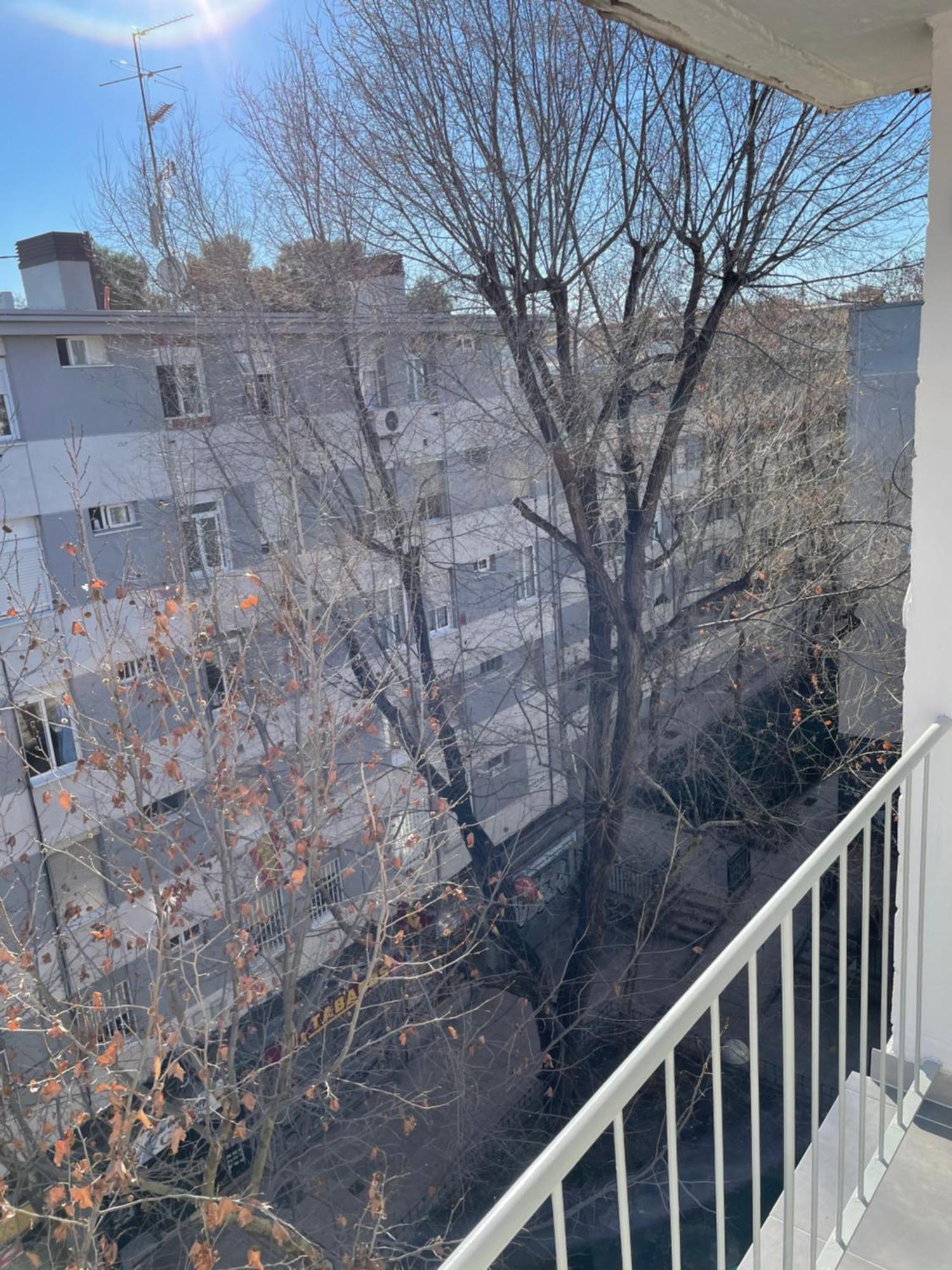 Apartamento Piso Entero Bajo *