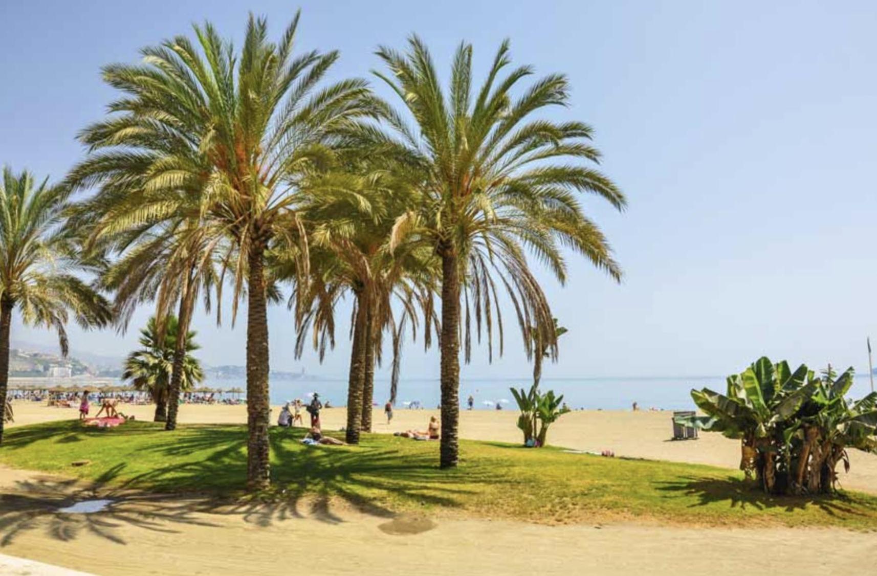 Mi Andalusia Experience Apartahotel *