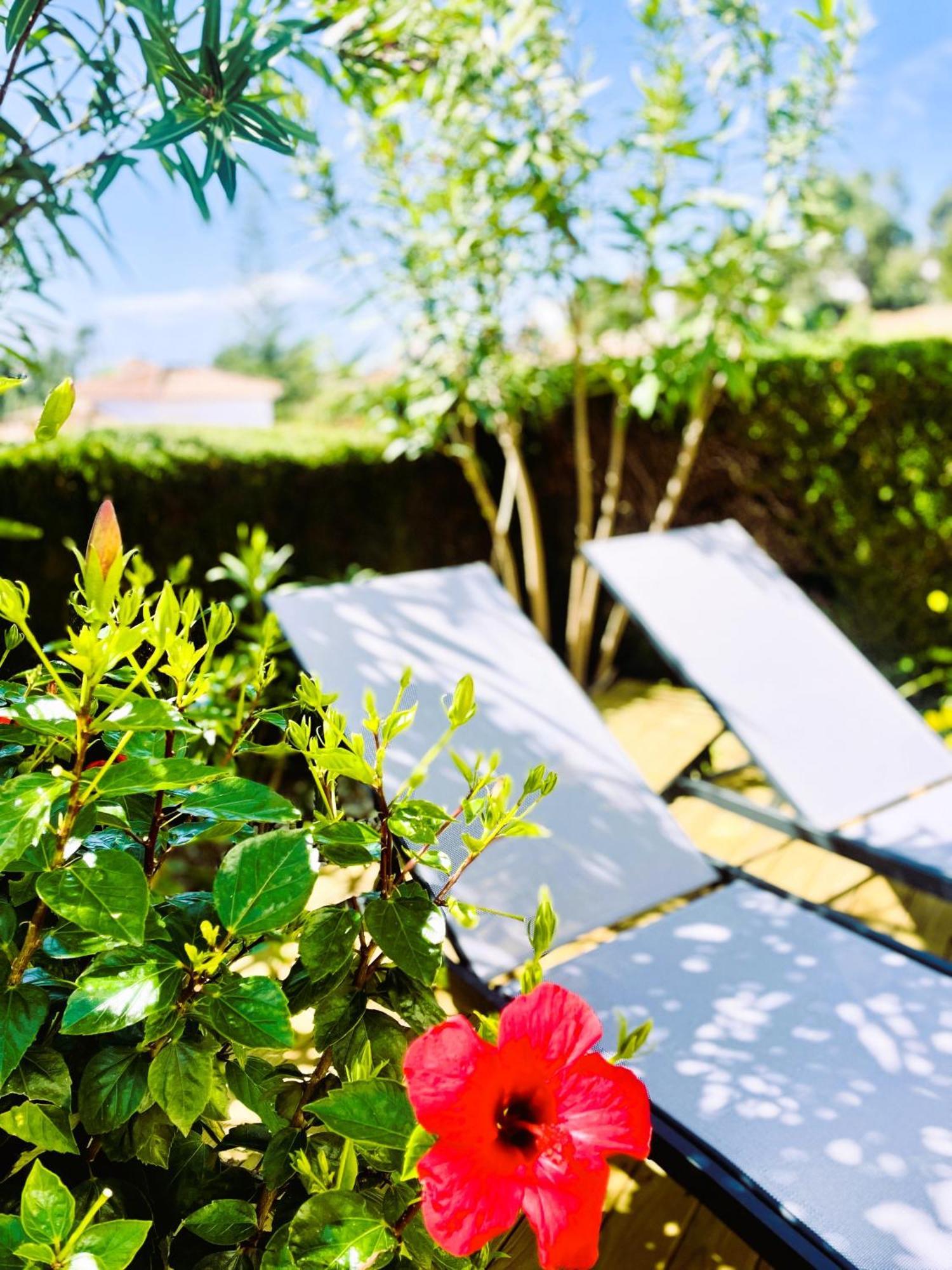 Apartment Modern Garden With A Fantastic Sea View And A Private Garden