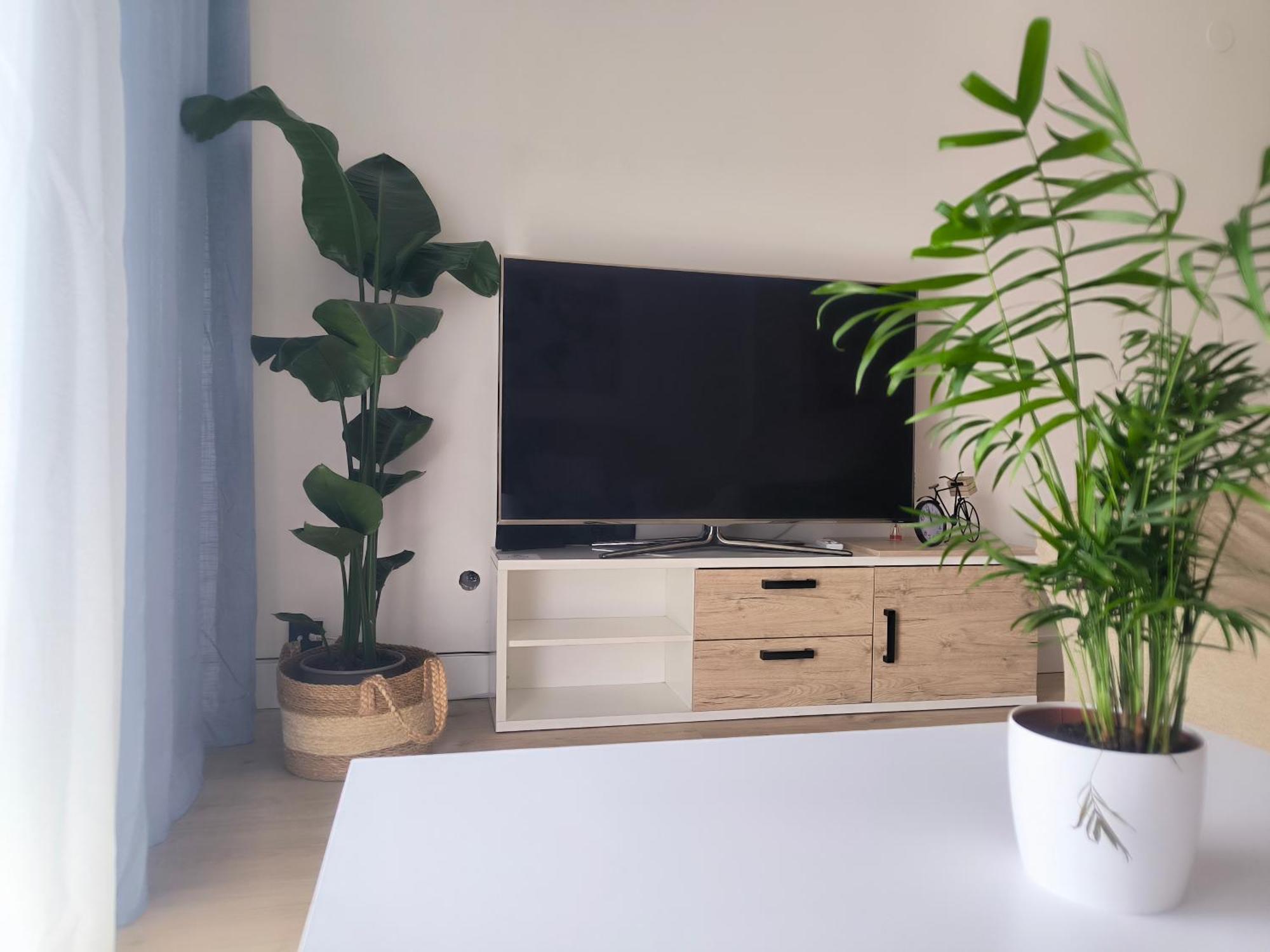 Apartamento San Gonzalo