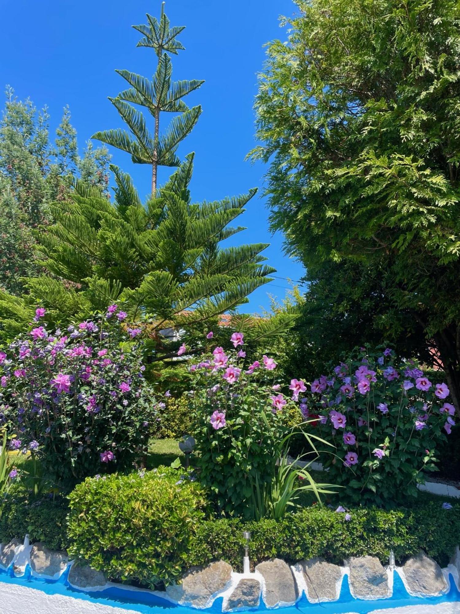 Hotel El Jardin Soto de la Marina