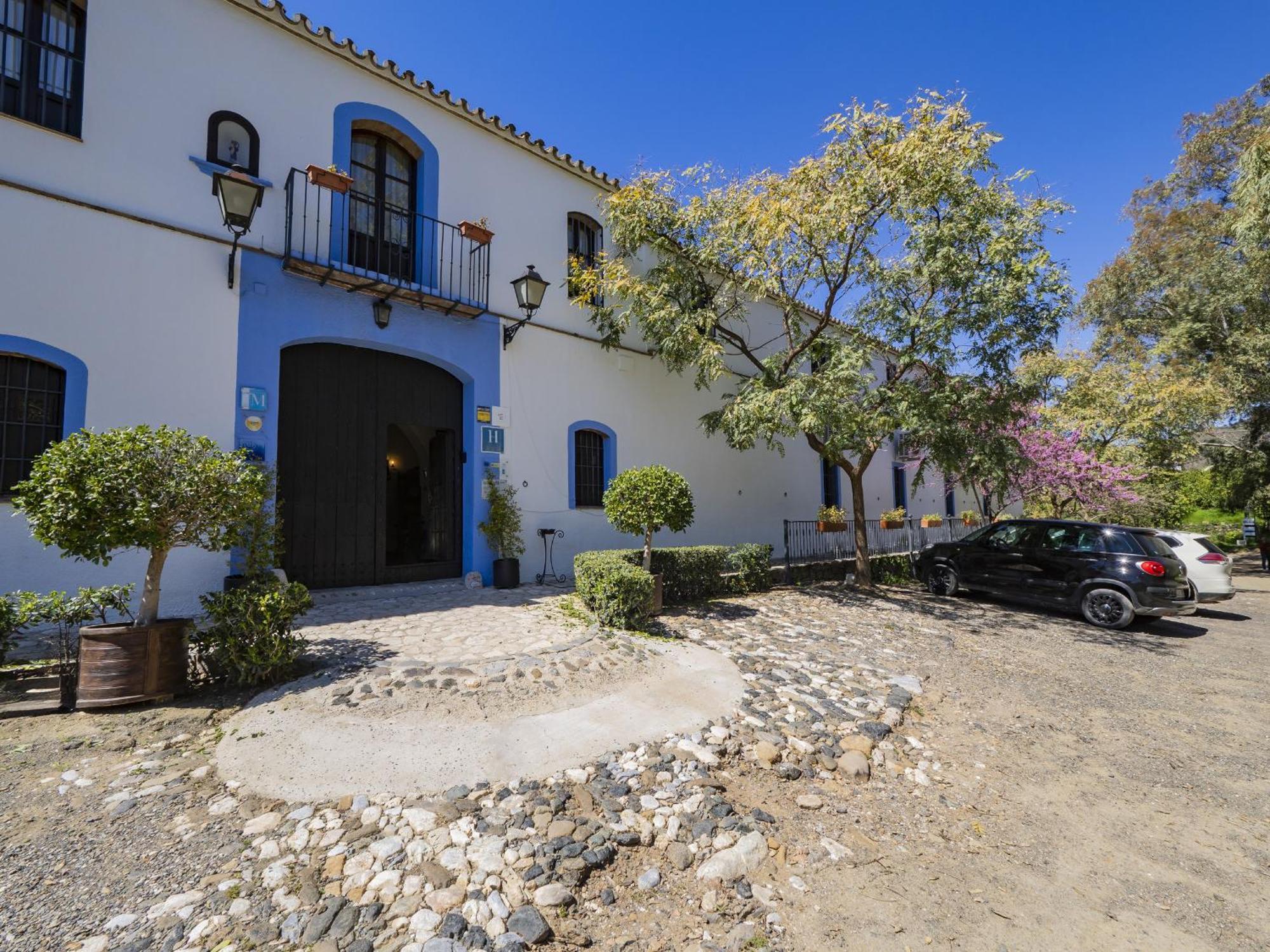 Cubo's Cortijo San Antonio