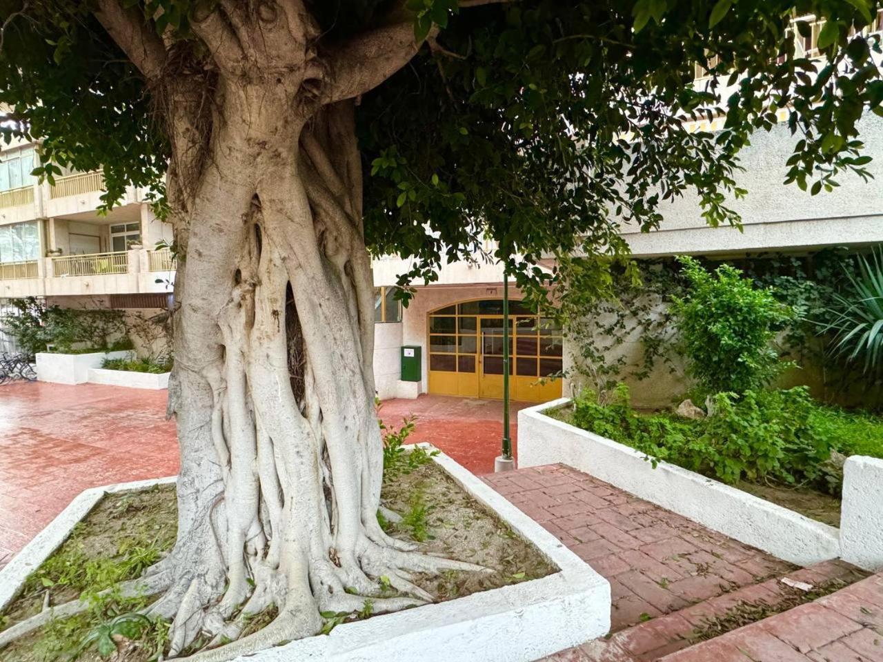 Apartment Apartsalou Masia *