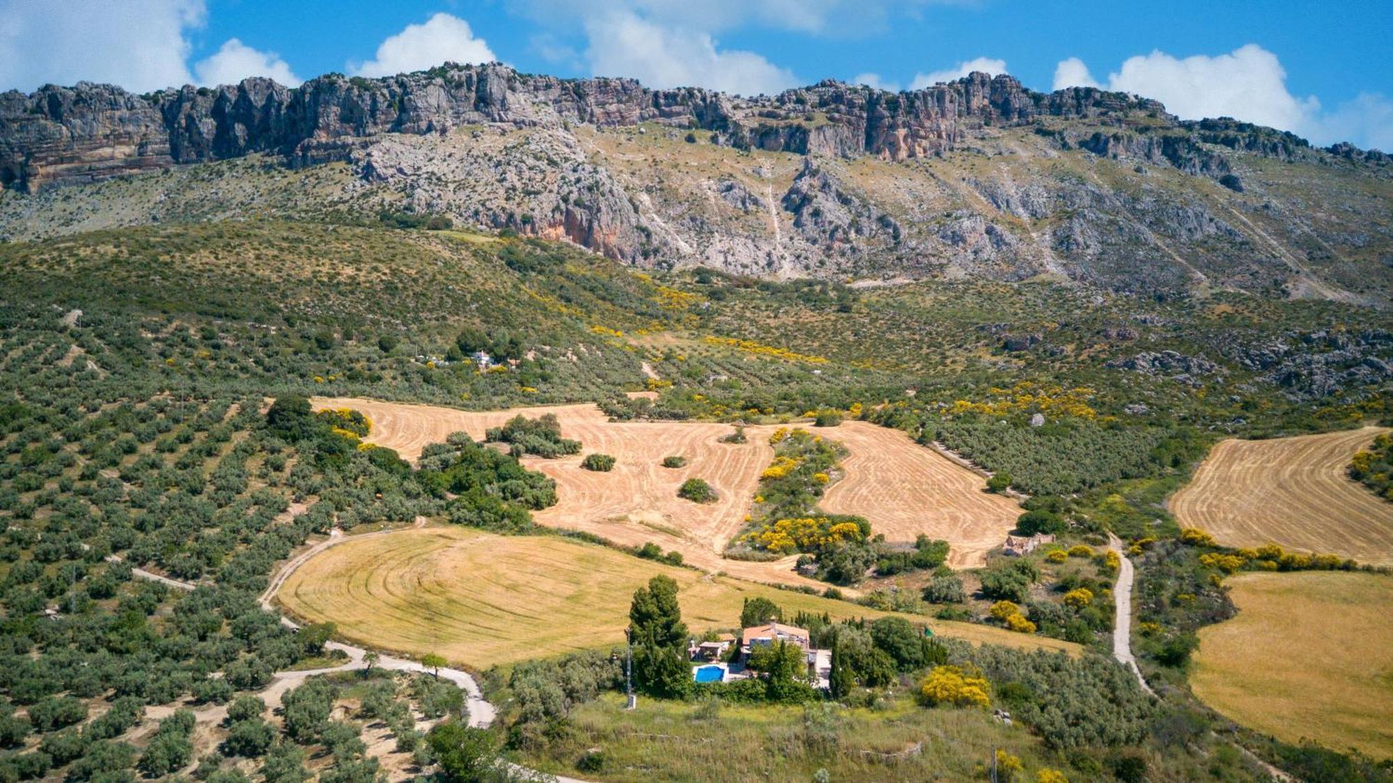 Villa Cortijo Era Del Realenguillo Villanueva de la Concepción
