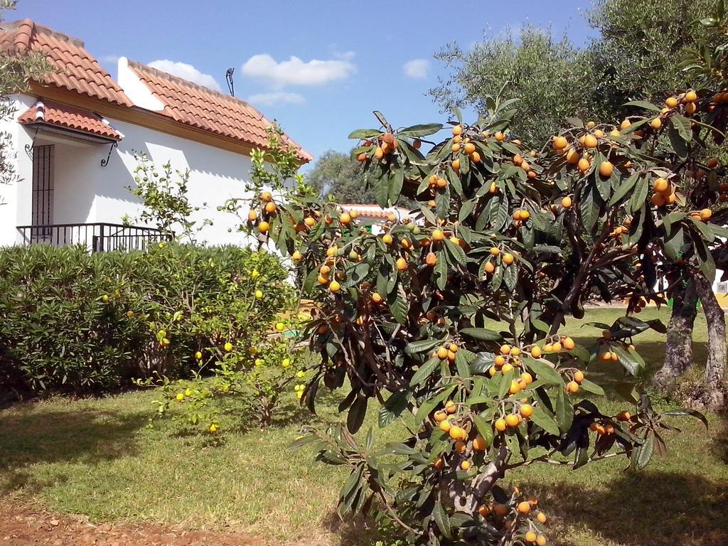 Finca La Luz Bed and breakfast Carmona (Seville)