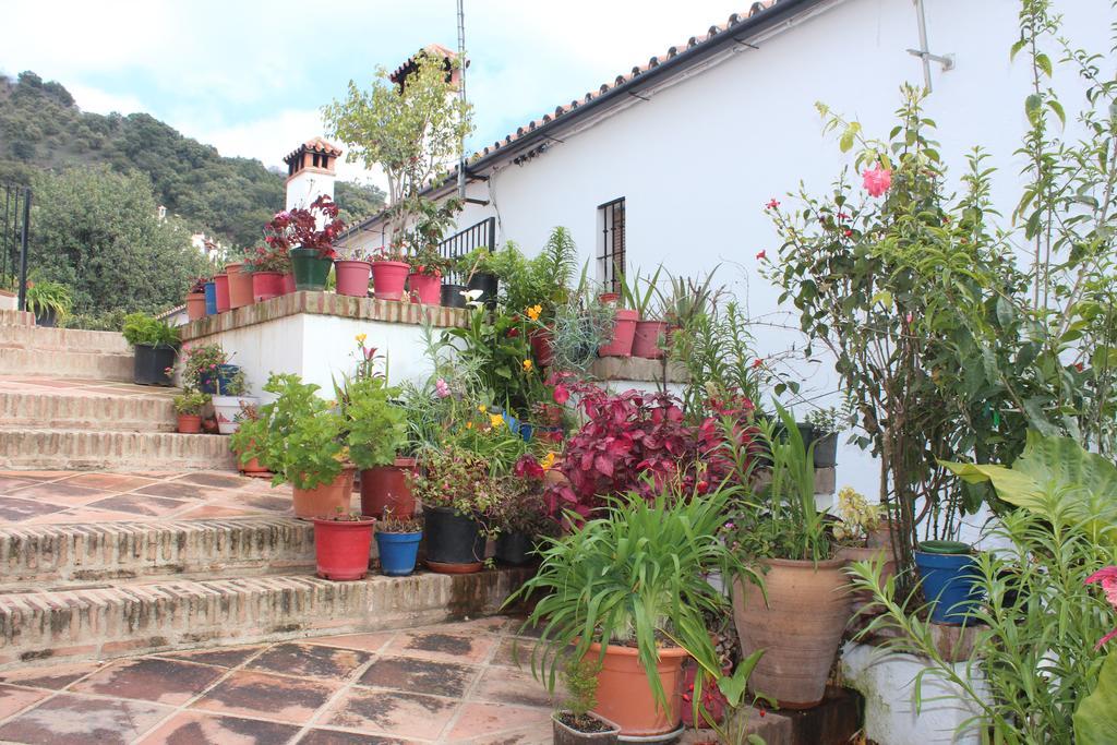Rurales Jardines Del Visir Genalguacil