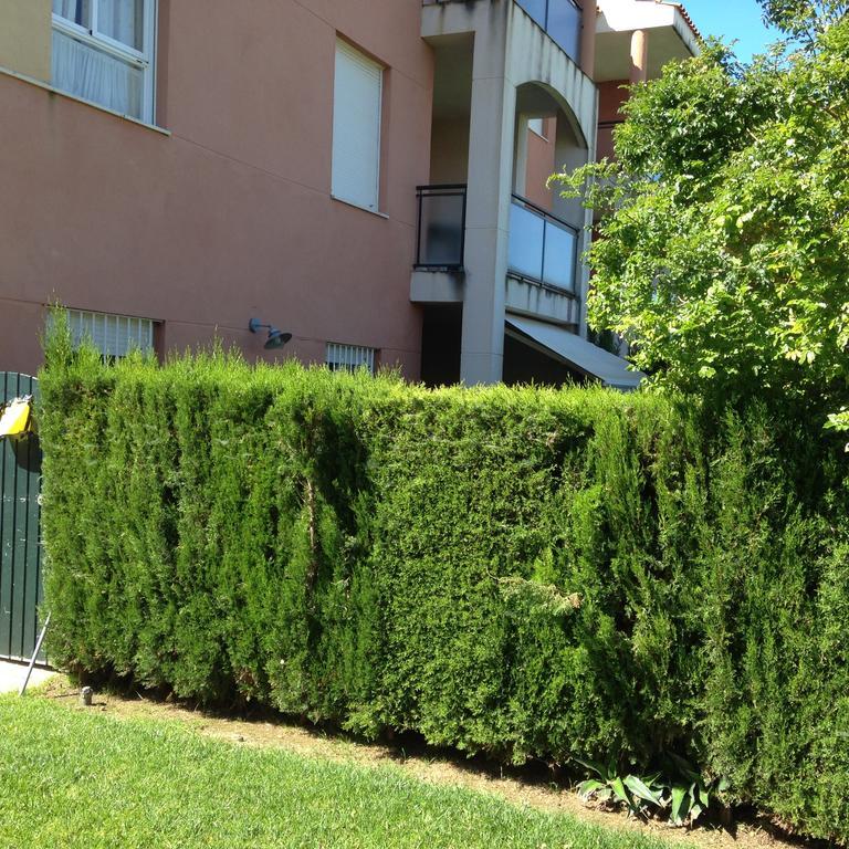 Divi Apartamento