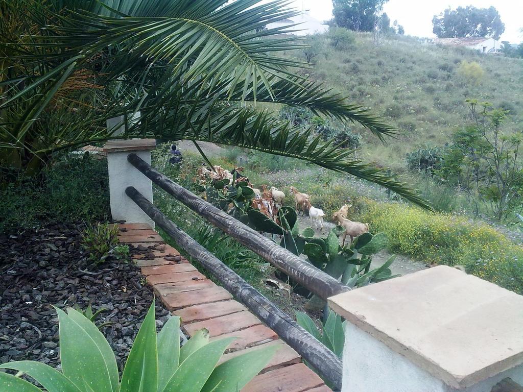 Attico Montes With Private Pool Vinuela