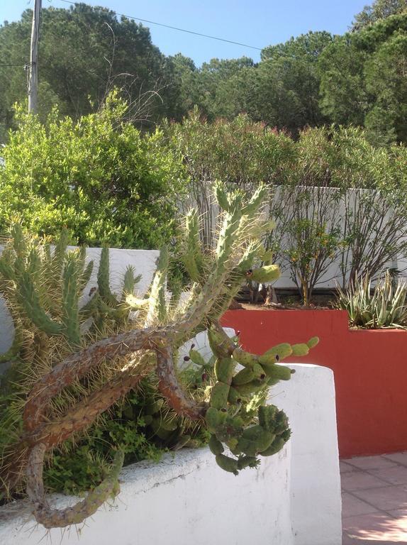 Finca Del Mundo Boutique B&B Bed & Breakfast *