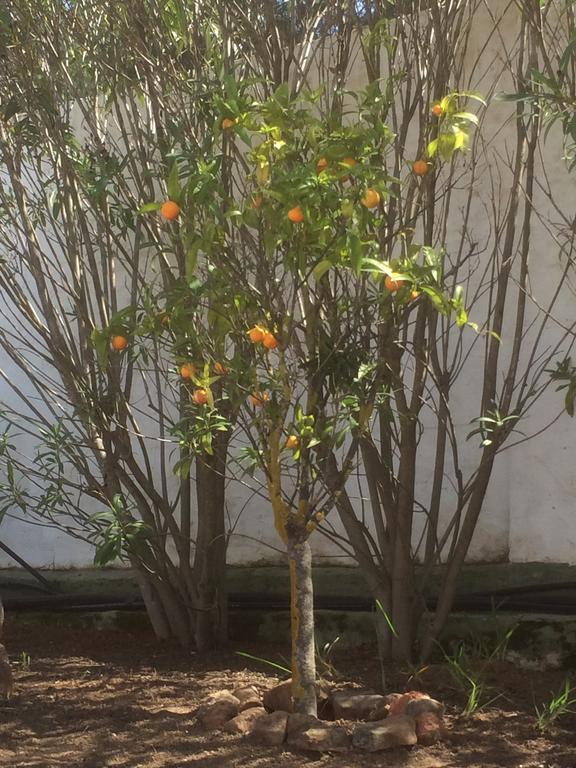 Finca Del Mundo Boutique B&B Alhaurin el Grande