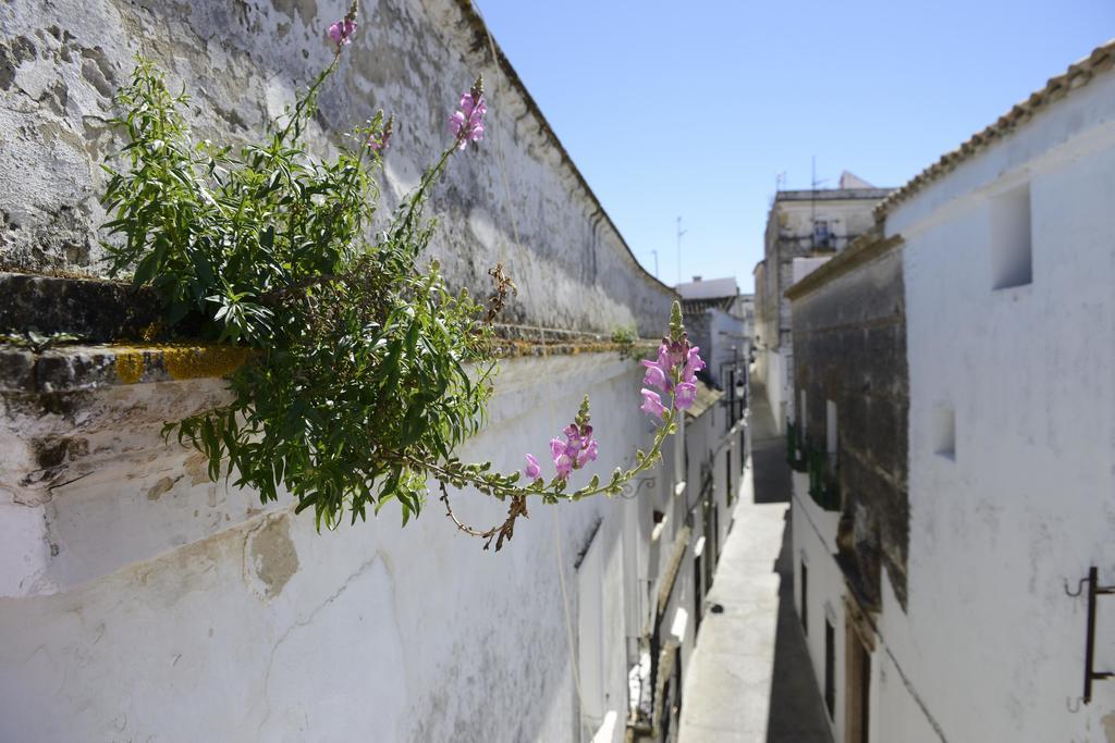 Casa Rural Las Cadenas Del Cananeo Guest house