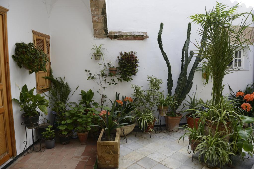 Casa Rural Las Cadenas Del Cananeo Guest house *