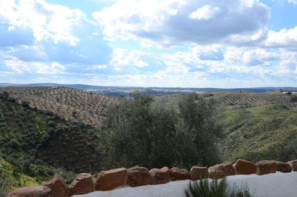 Olivetum Colina * Montoro