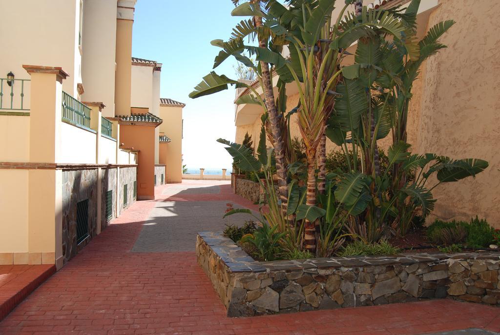 Tamango Hill Alcazaba B Casasol