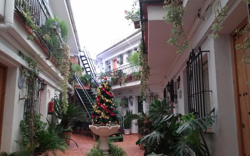 El Patio * Alhaurín de la Torre