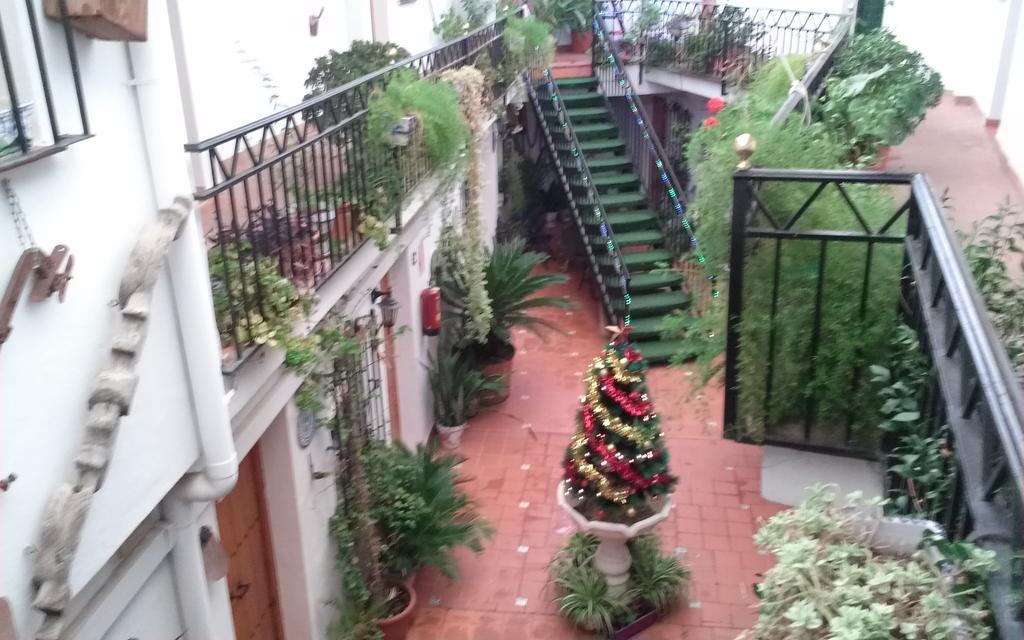 El Patio