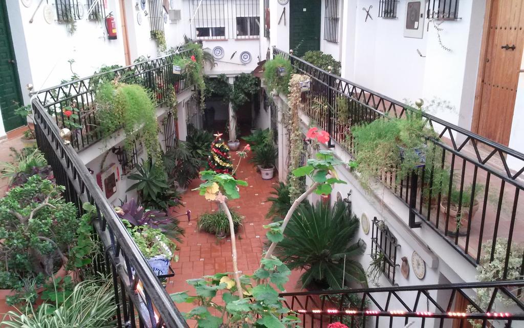 El Patio * Alhaurín de la Torre