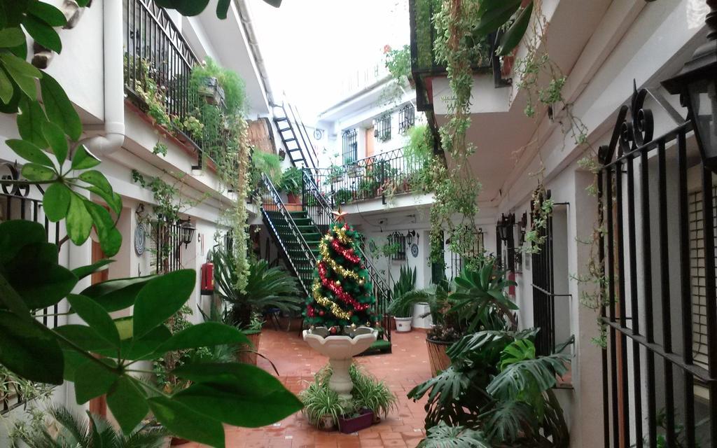El Patio Pensión *