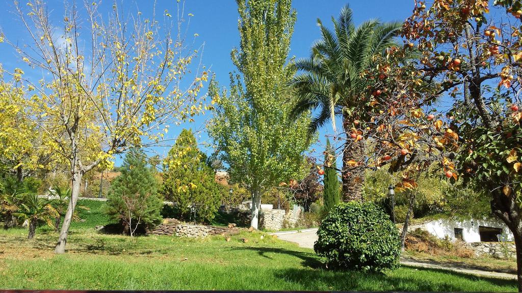 Casa Rural 3. Los Castanuelos Bed & Breakfast Guejar Sierra