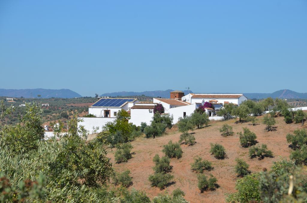 Pensión Olivetum Colina Montoro