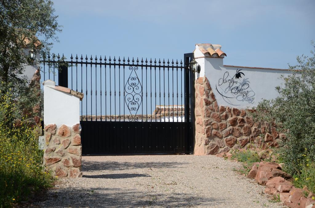 Olivetum Colina * Montoro