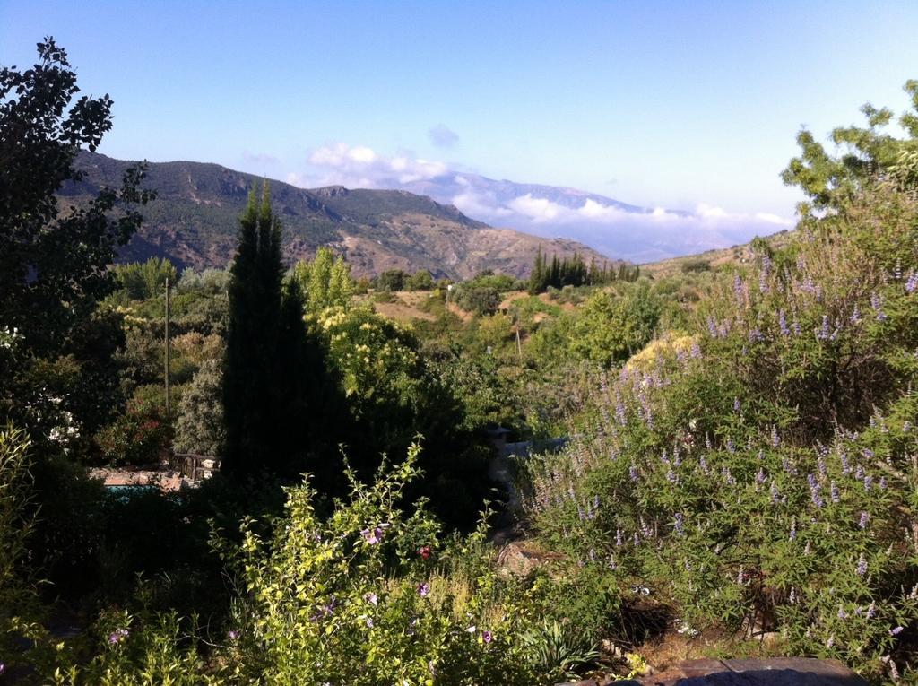 Cortijo La Vinuela Holiday home Atalbeitar