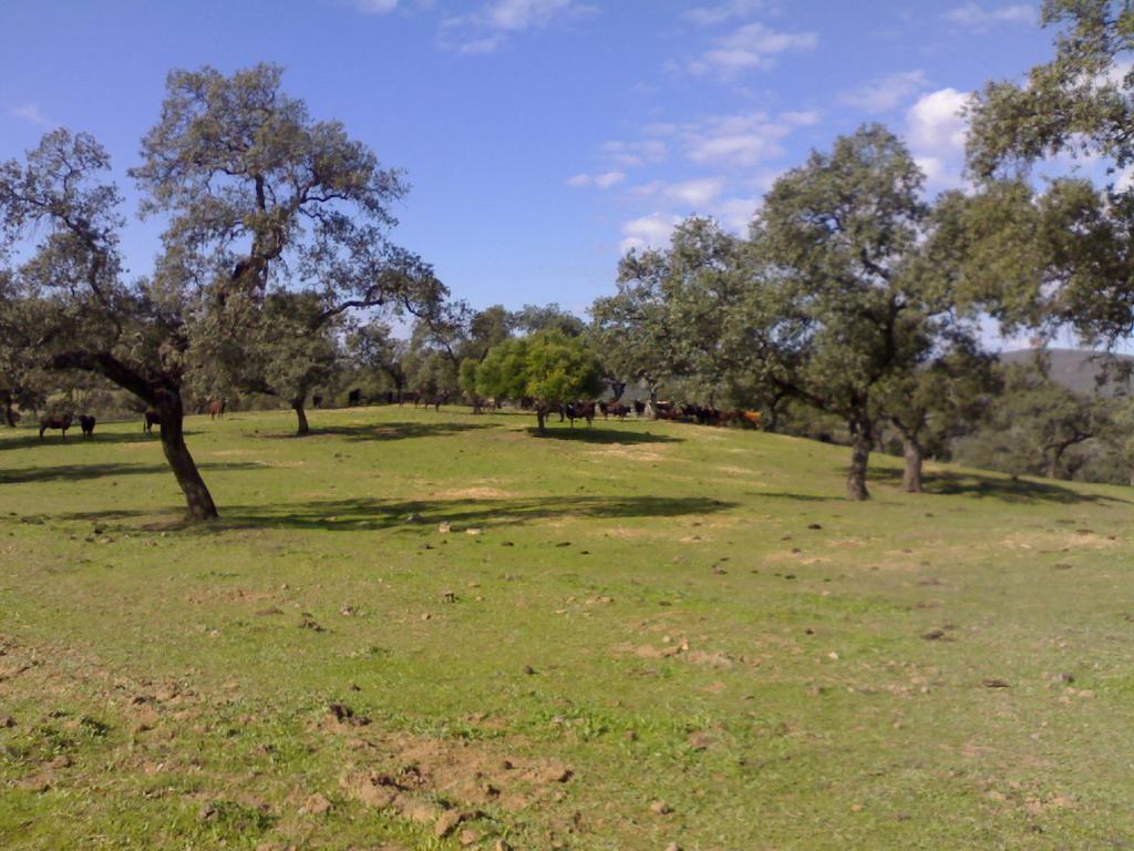 Venta De Abajo El Castillo de las Guardas