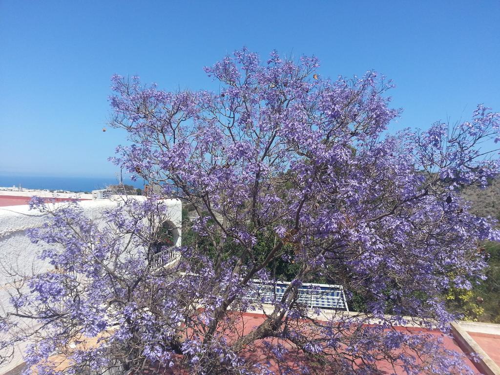 La Parata Mojacar
