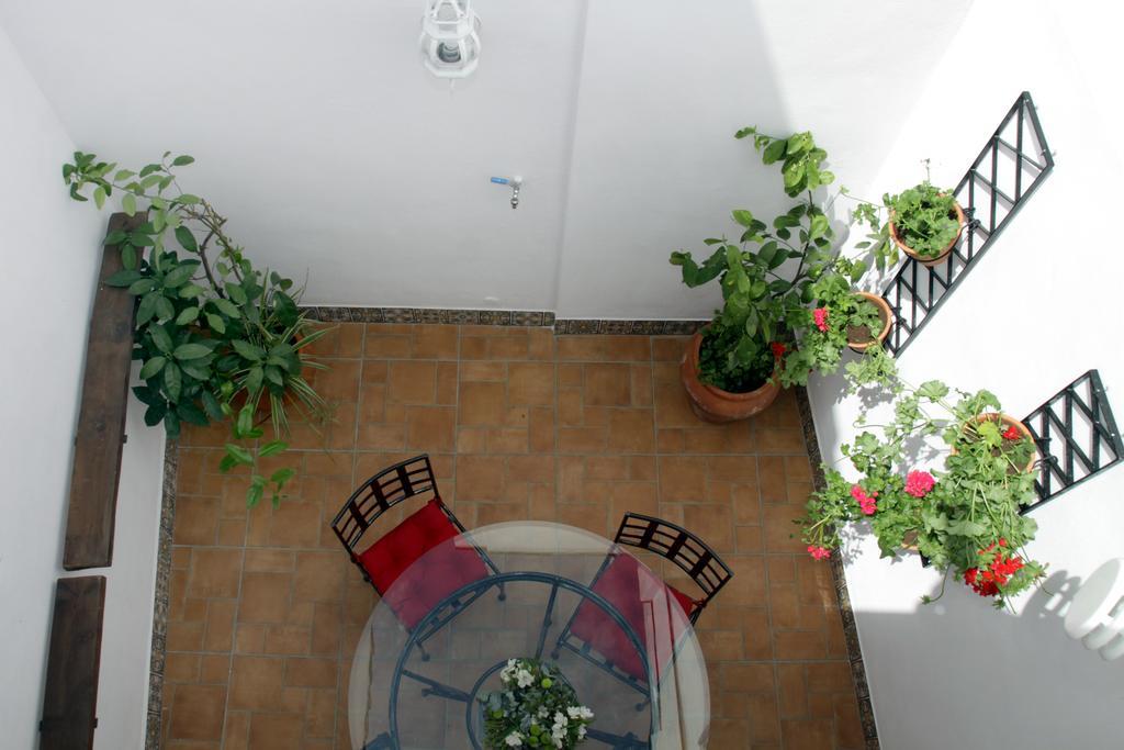 Apartamento San Fernando 76 *