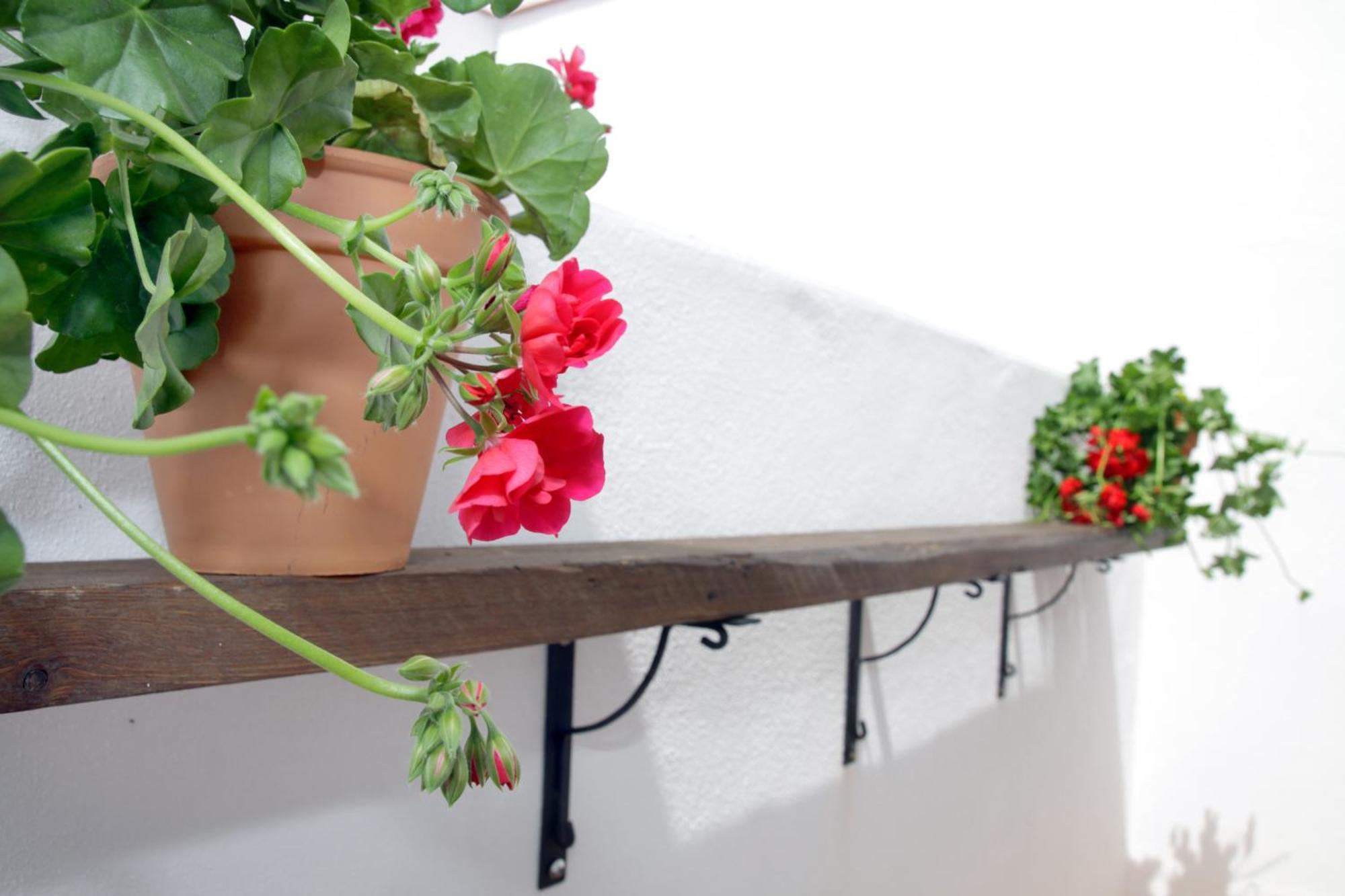 Apartamento San Fernando 76 Córdoba