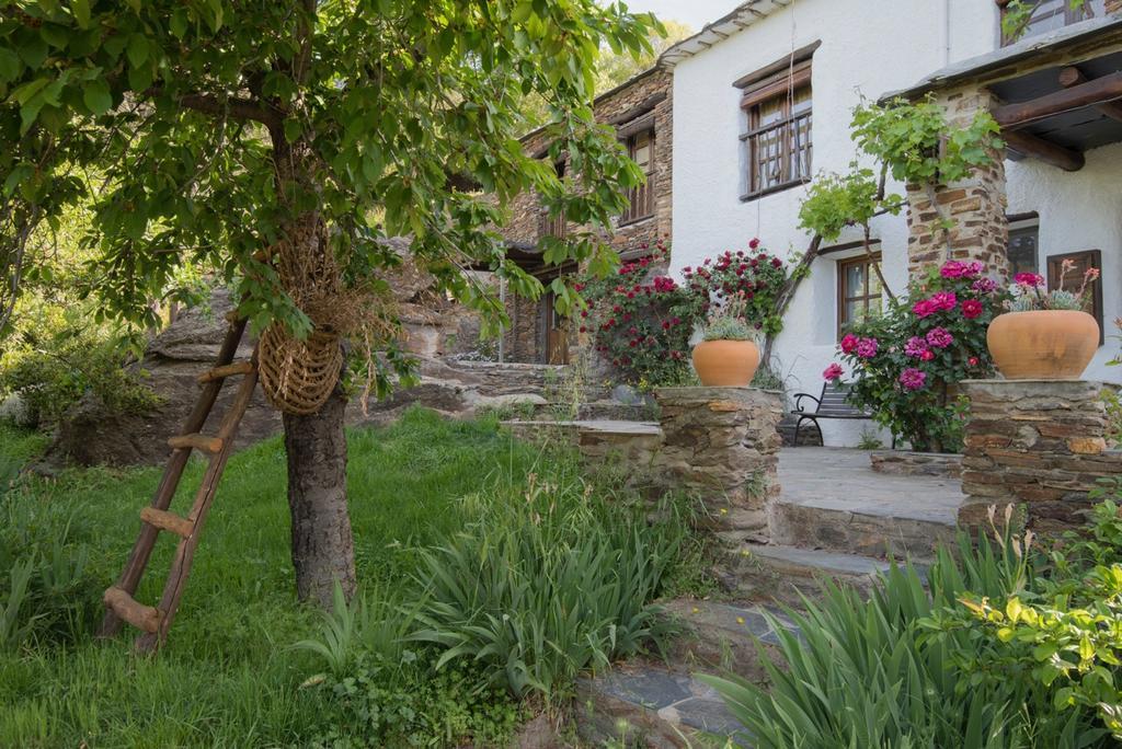 Holiday home Cortijo La Vinuela *