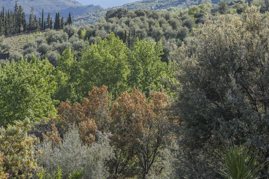 Holiday home Cortijo La Vinuela