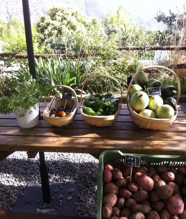 Holiday home Cortijo La Vinuela