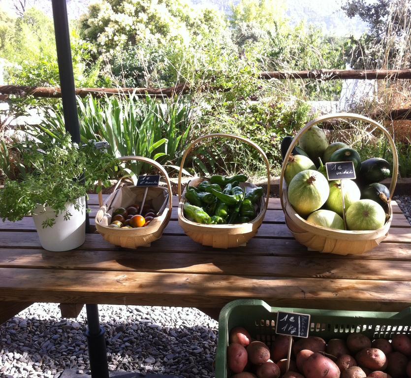 Holiday home Cortijo La Vinuela *