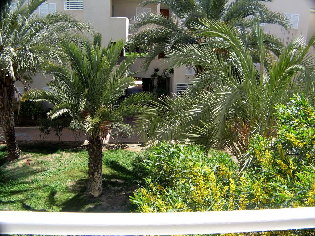 Venavera Playa Mimosas 11 La Aldea De Puerto Rey Piscina Y Jardines Muy Tranquilo Wifi