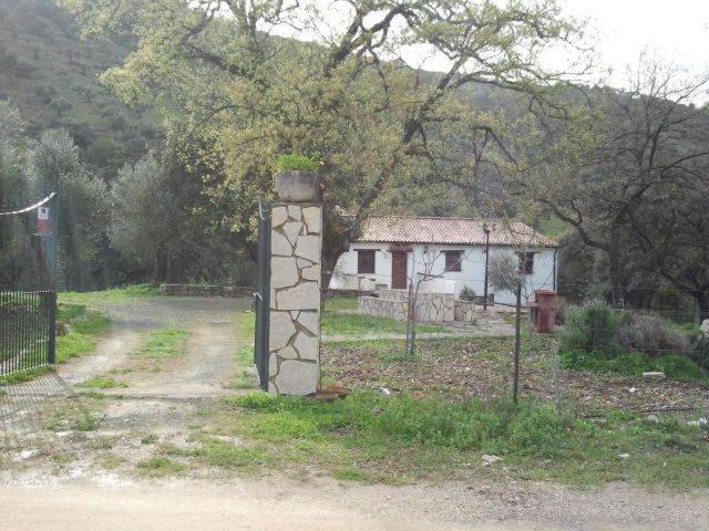 Hotel Enrique Calvillo El Bosque