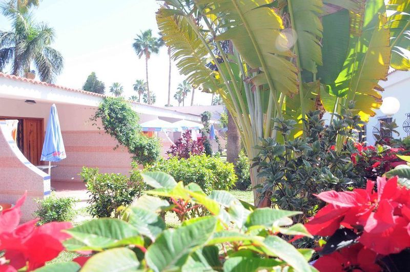 Hotel San Valentin & Terraflor Park