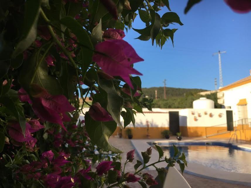 Hotel Andalou 3*