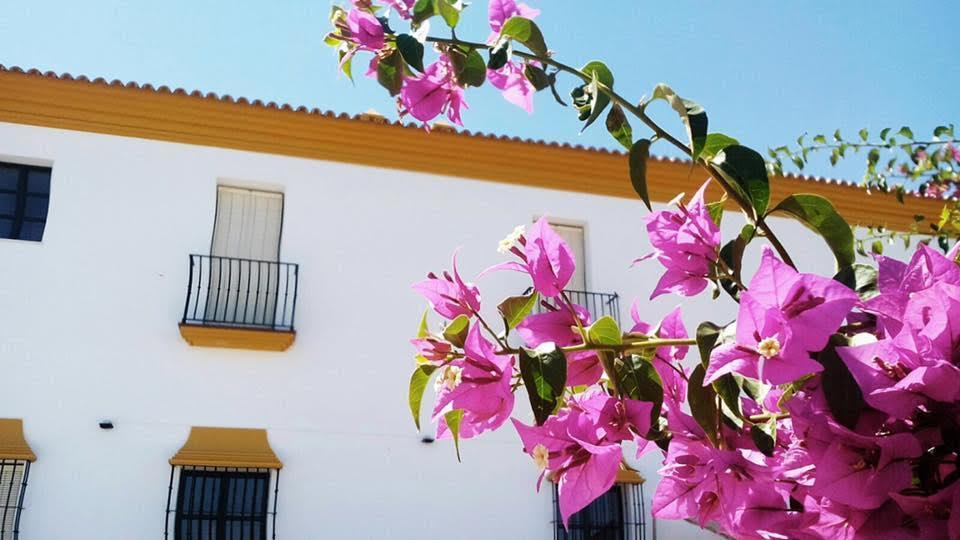 Hotel Andalou Montellano