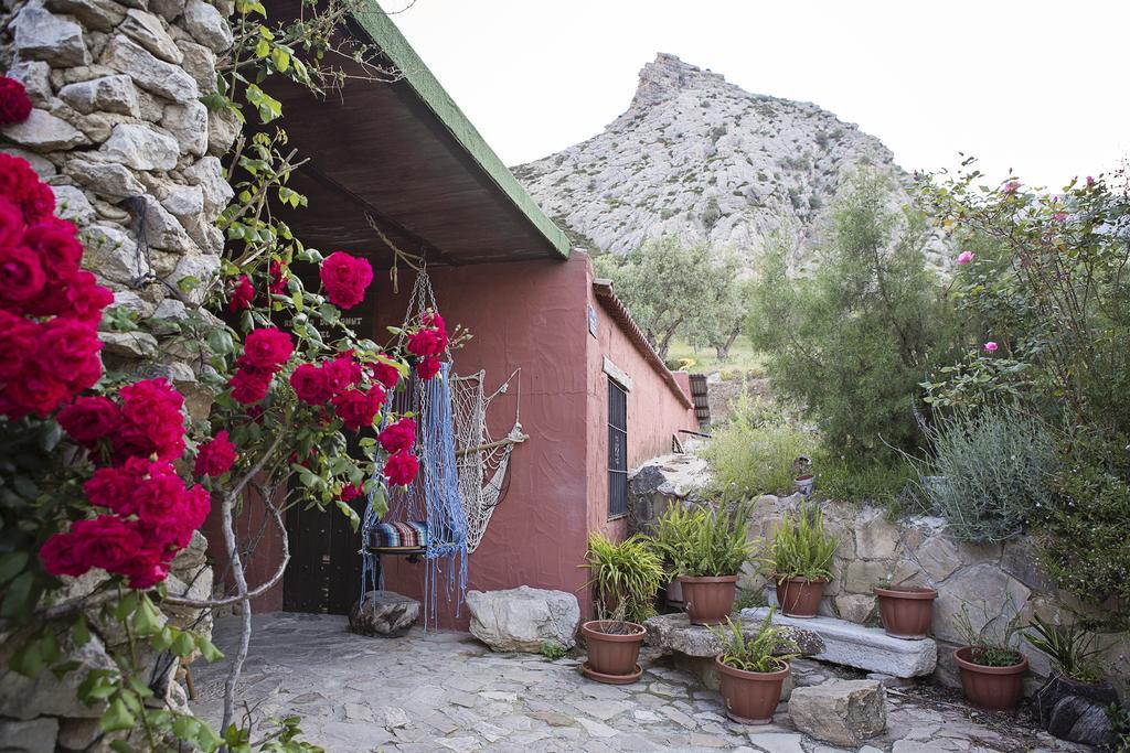 Pensión Refugio Del Alamut