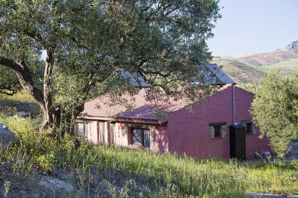 Refugio Del Alamut Pensión