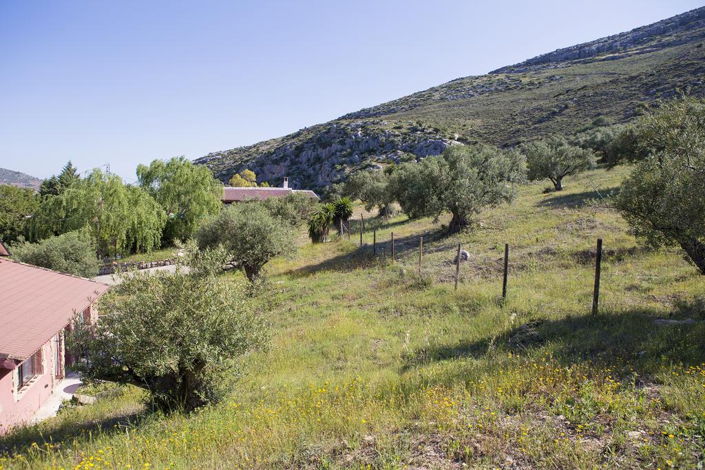 Pensión Refugio Del Alamut