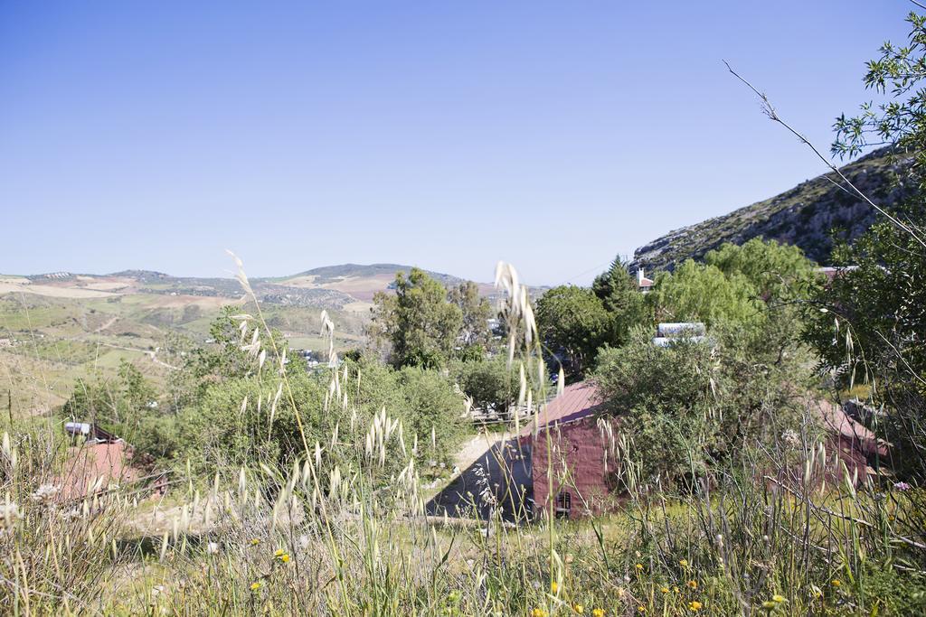 Refugio Del Alamut Pensión Valle de Abdalajís